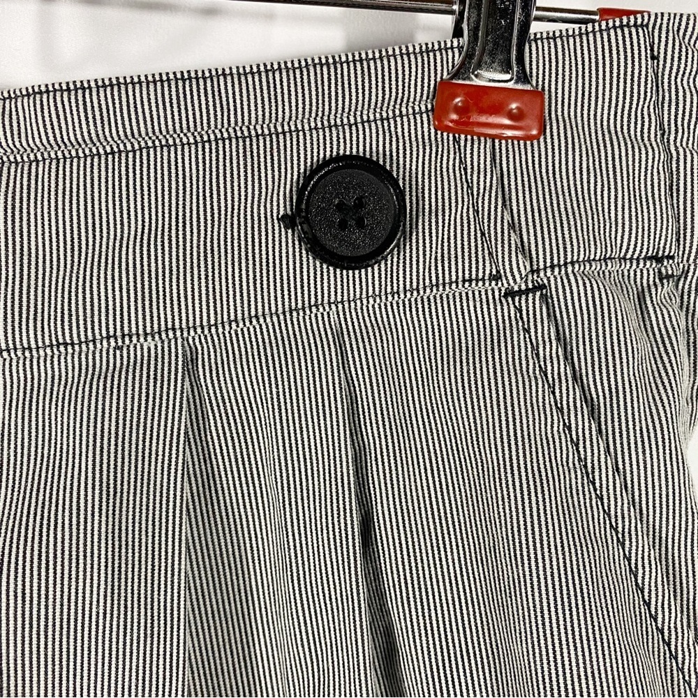 Anthropologie | Lux Striped Shorts - Picture 3 of 8